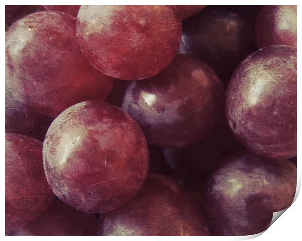  red grapes still life Print by Heather Newton