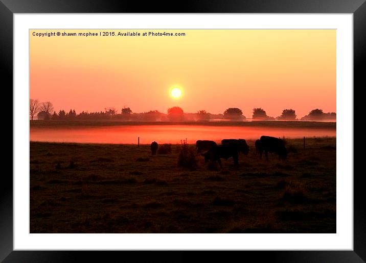  Misty Sunrise on the Farm Framed Mounted Print by shawn mcphee I