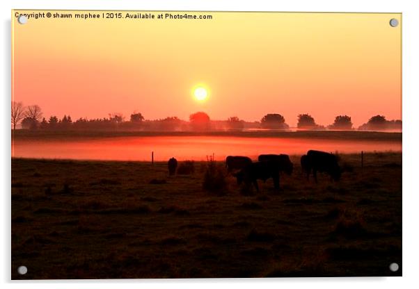  Misty Sunrise on the Farm Acrylic by shawn mcphee I