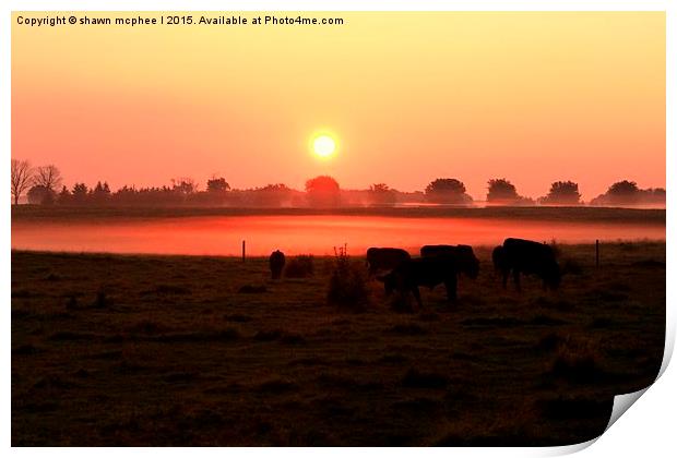  Misty Sunrise on the Farm Print by shawn mcphee I