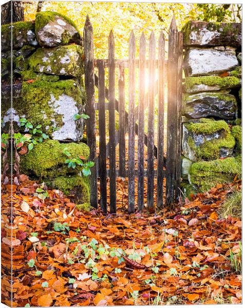 Sunrays through a gate Canvas Print by Lynne Morris (Lswpp)