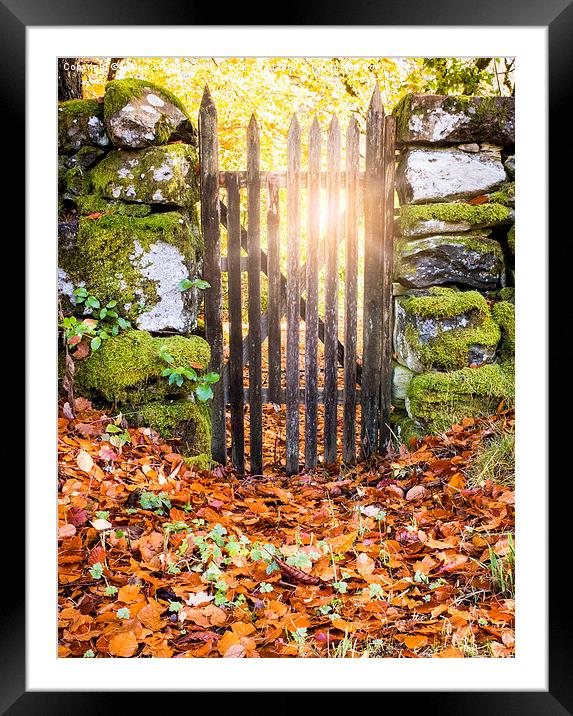 Sunrays through a gate Framed Mounted Print by Lynne Morris (Lswpp)