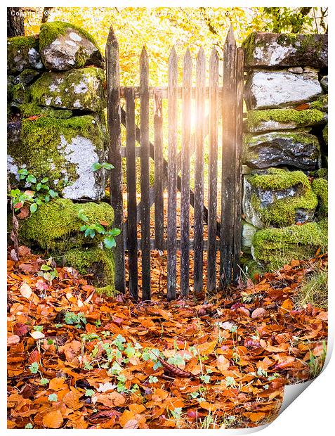 Sunrays through a gate Print by Lynne Morris (Lswpp)