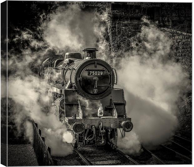  75029 emerging from the smoke Canvas Print by David Oxtaby  ARPS