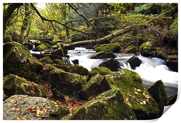 Golitha Falls Bodmin Moor III Print by David Wilkins