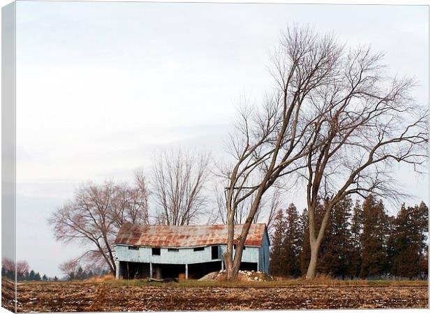  Wind Blown trees and barn Canvas Print by dan Comeau