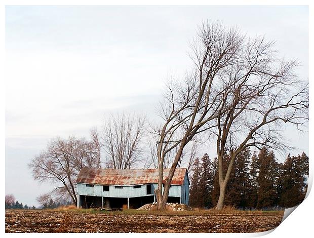  Wind Blown trees and barn Print by dan Comeau