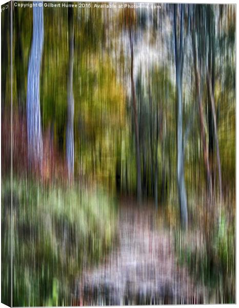 Walk into the Woods  Canvas Print by Gilbert Hurree
