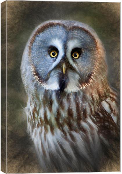 Grey Owl Canvas Print by Ian Merton