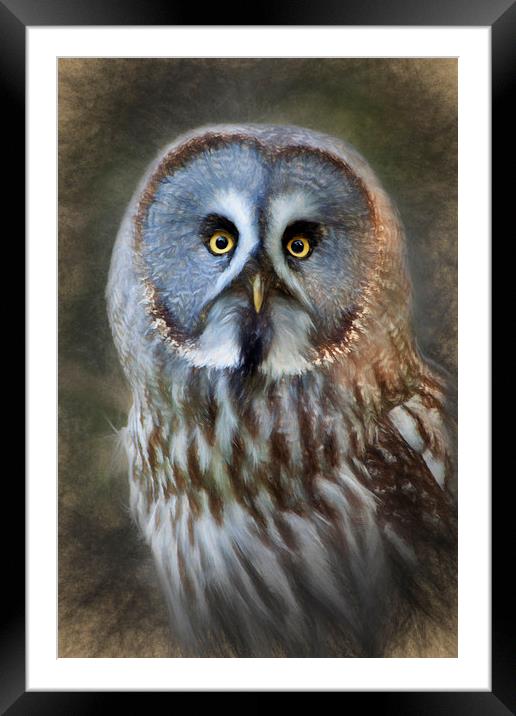  Grey Owl Framed Mounted Print by Ian Merton