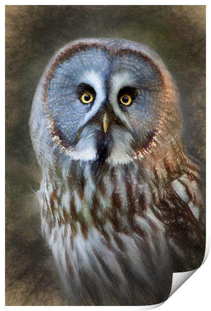  Grey Owl Print by Ian Merton
