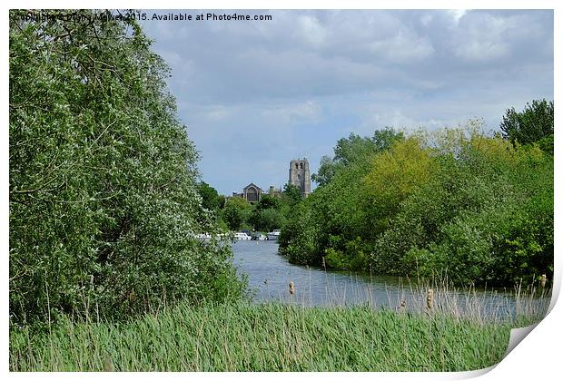 St Michaels  Beccles Suffolk   Print by Diana Mower