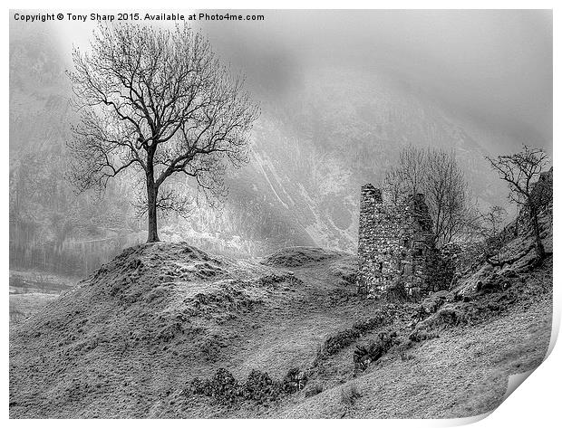  Sunlight in Misty Valley Print by Tony Sharp LRPS CPAGB