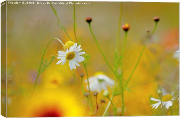 Naturally spring   Canvas Print by James Tully