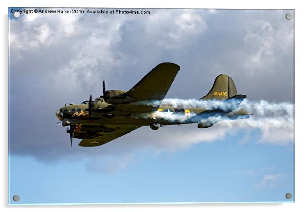 Boeing B-17 Flying Fortress Sally B Acrylic by Andrew Harker