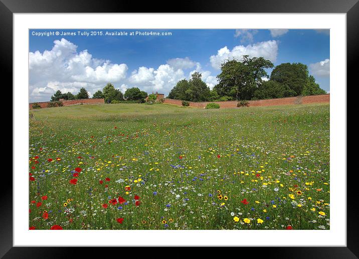  The beauty of wildflowers Framed Mounted Print by James Tully