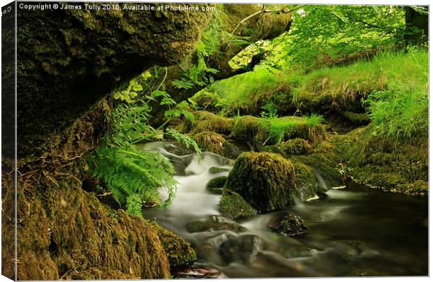  Exmoor stream Canvas Print by James Tully