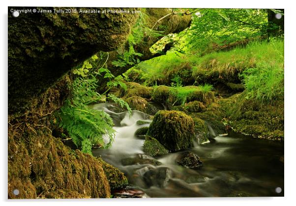  Exmoor stream Acrylic by James Tully