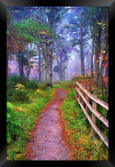  Morangie Forest, Scotland. Framed Print by Alan Simpson