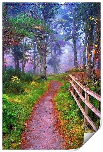  Morangie Forest, Scotland. Print by Alan Simpson
