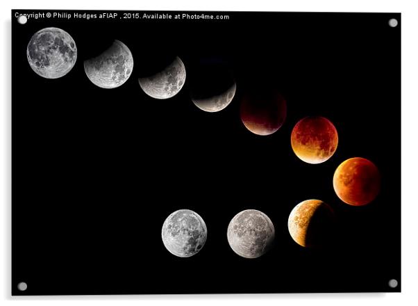 Lunar Eclipse 2015  Acrylic by Philip Hodges aFIAP ,