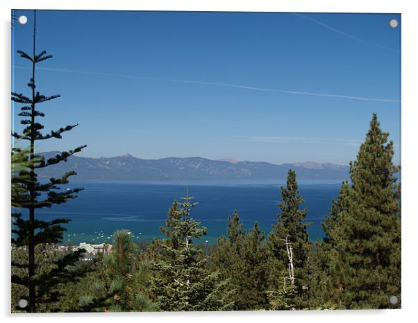 South Lake Tahoe Acrylic by Patti Barrett