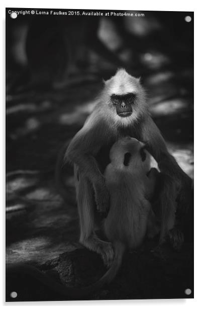 Grey Langur  Acrylic by Lorna Faulkes