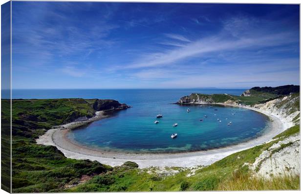  Lulworth cove summer afternoon Canvas Print by Shaun Jacobs