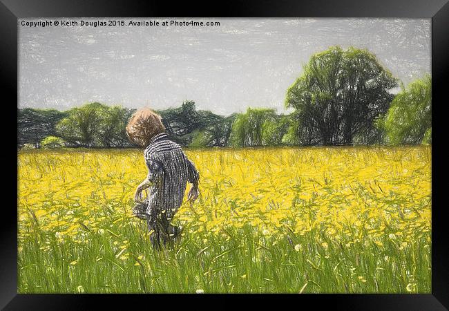 Running through fields of gold Framed Print by Keith Douglas