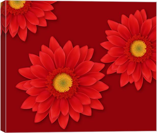 Gerbera Flowers Close-up Canvas Print by Lidiya Drabchuk