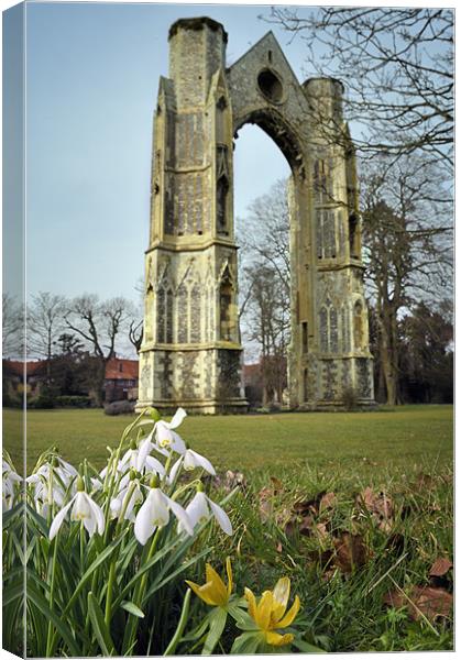 Abbey and snowdrops Canvas Print by Stephen Mole