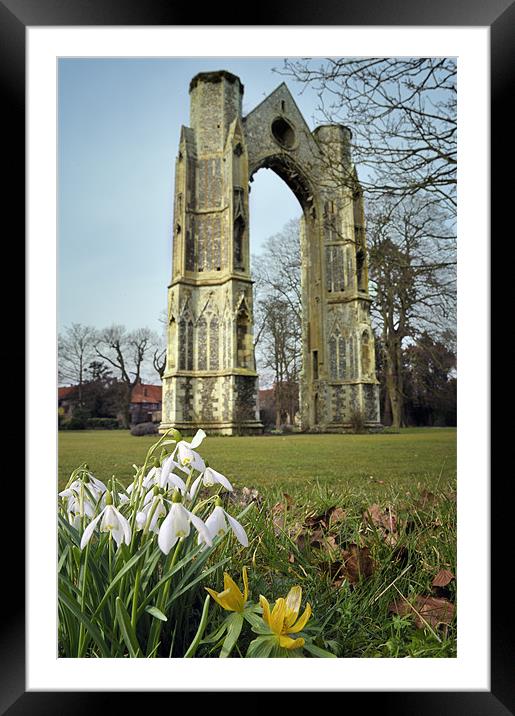 Abbey and snowdrops Framed Mounted Print by Stephen Mole