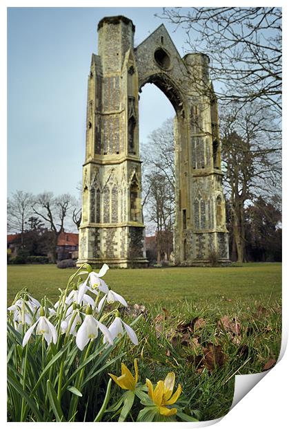 Abbey and snowdrops Print by Stephen Mole