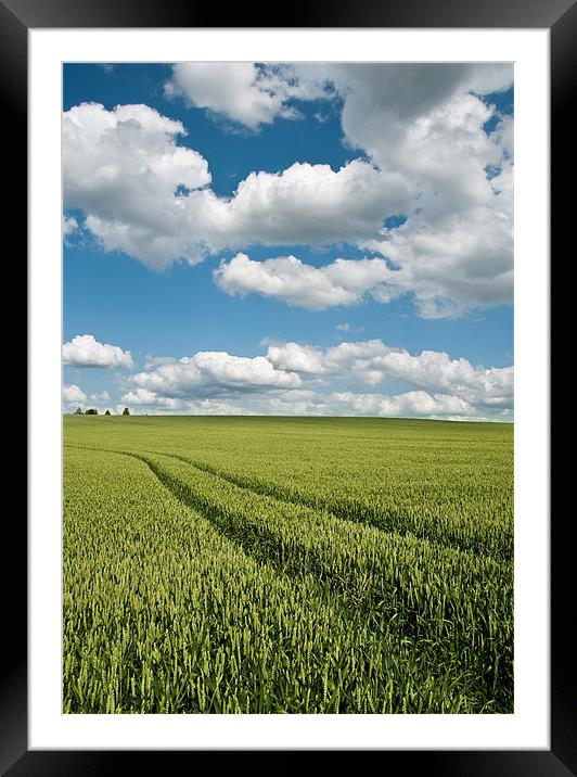 Wheat Field View Framed Mounted Print by Alexander Mieszkowski