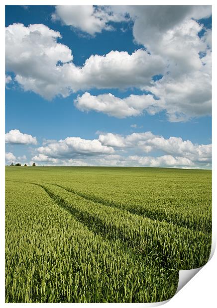 Wheat Field View Print by Alexander Mieszkowski