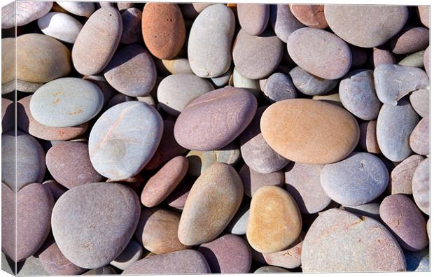 Budleigh Pebbles Canvas Print by Malcolm Smith
