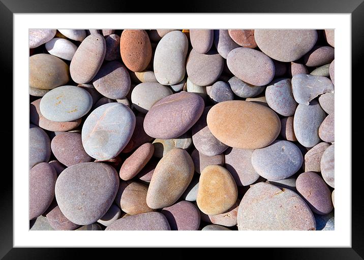 Budleigh Pebbles Framed Mounted Print by Malcolm Smith
