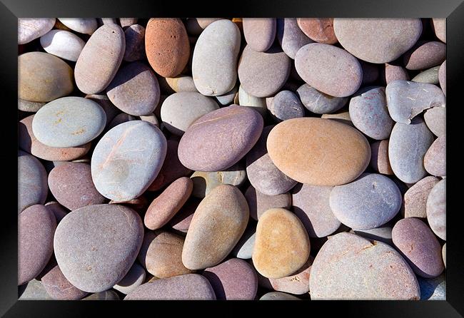 Budleigh Pebbles Framed Print by Malcolm Smith