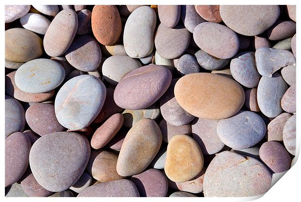Budleigh Pebbles Print by Malcolm Smith