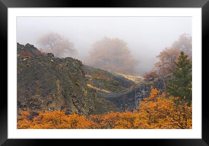 Autumn Obscured Framed Mounted Print by Mike Dawson
