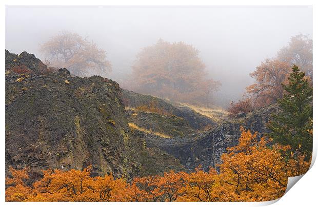 Autumn Obscured Print by Mike Dawson