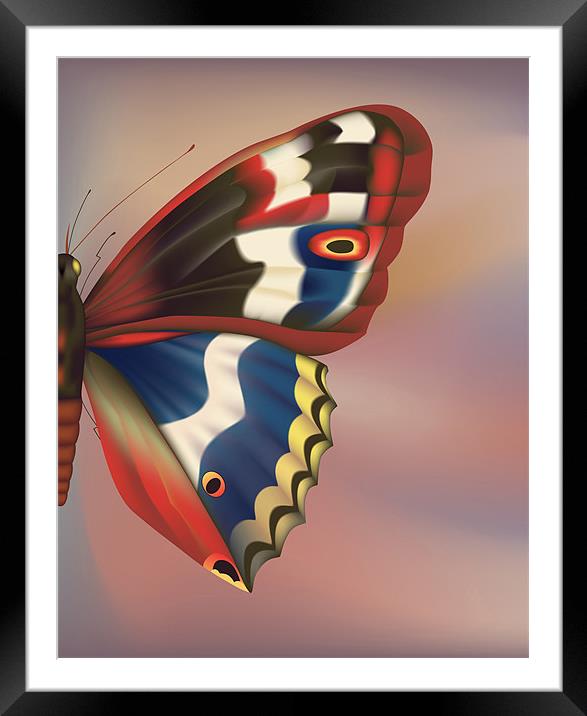 Butterfly Wings Framed Mounted Print by Lidiya Drabchuk