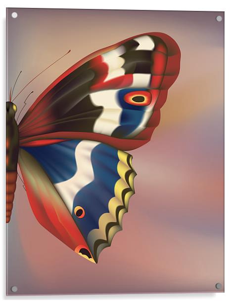 Butterfly Wings Acrylic by Lidiya Drabchuk