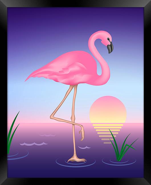 Pink Flamingo Framed Print by Lidiya Drabchuk