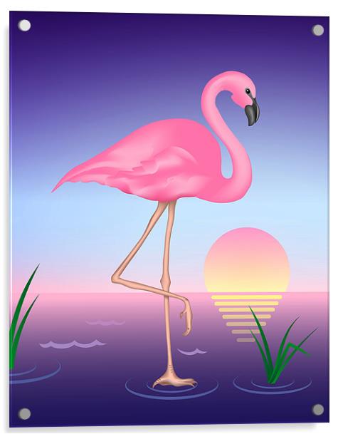 Pink Flamingo Acrylic by Lidiya Drabchuk