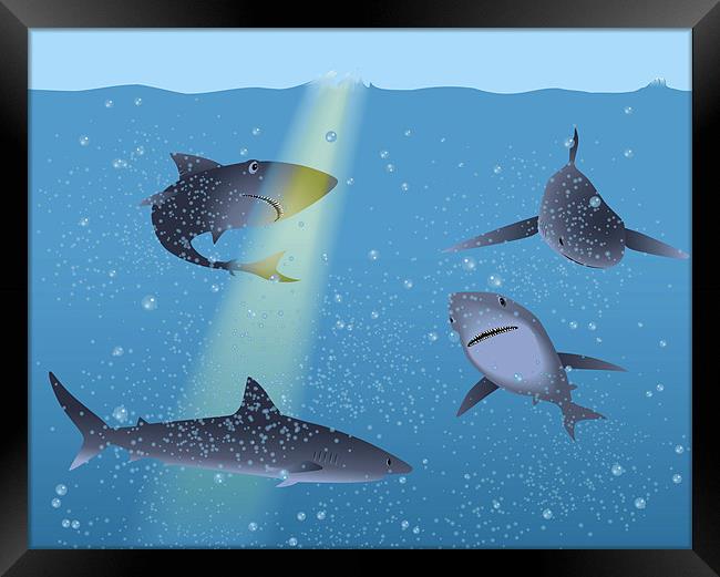 Sharks in Ocean Framed Print by Lidiya Drabchuk
