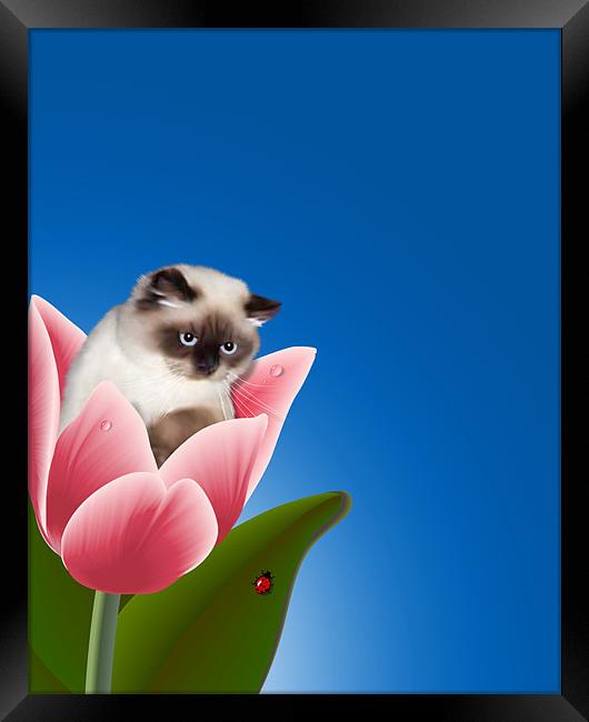 Cat In Tulip Framed Print by Lidiya Drabchuk
