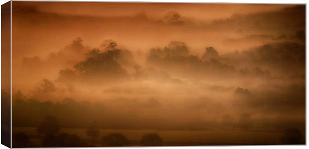  Box Hill Mist Canvas Print by Clive Eariss