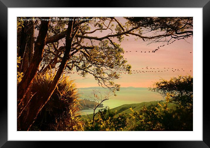  flying birds at sea Framed Mounted Print by Derrick Fox Lomax