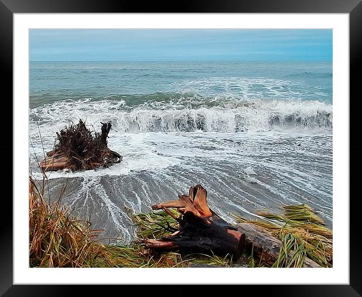  Sea Climbs into the Grass Framed Mounted Print by dan Comeau